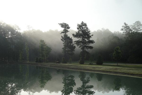 Viridian Fog Wide Shot