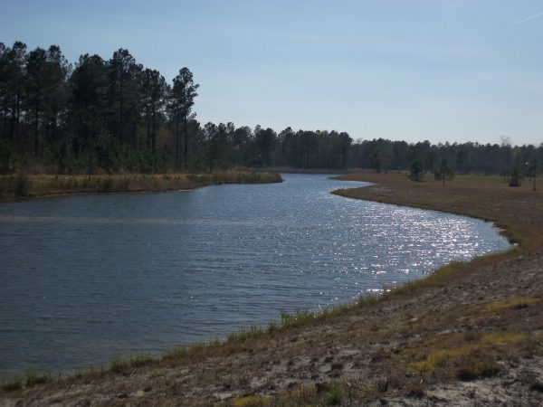 Lake landscape shot