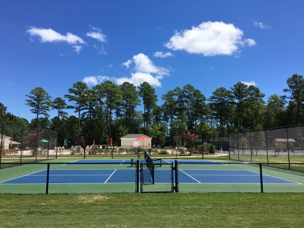 Pickle Ball Wide