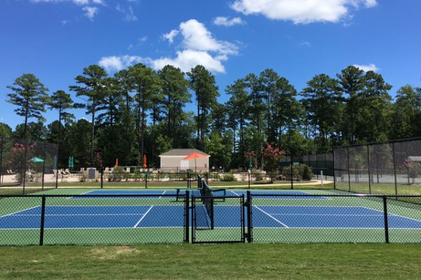 Wide shot pickle ball