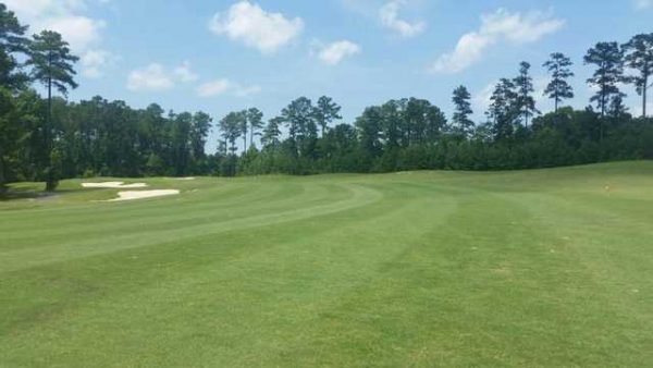 Golf Course Landscape Wide