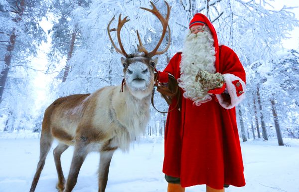 santa reindeer close up