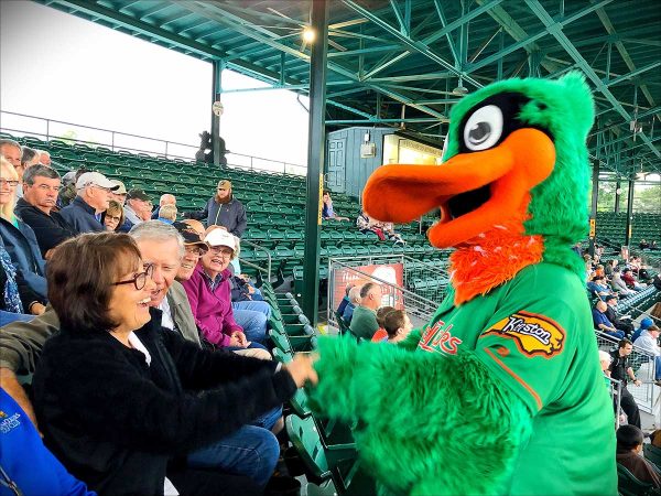 Wood Ducks Mascot Close Up